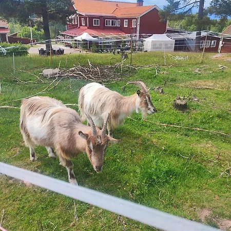 Sjugare Gård Bed&Breakfast-3